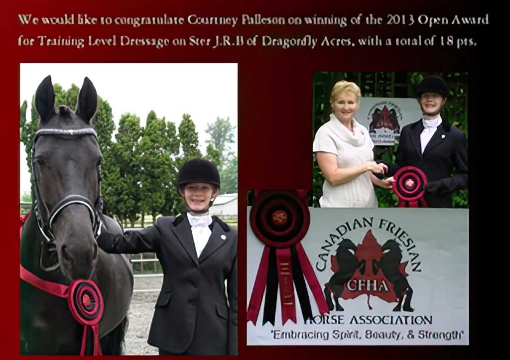 cfha-awards-presentation-with-friesian-cross